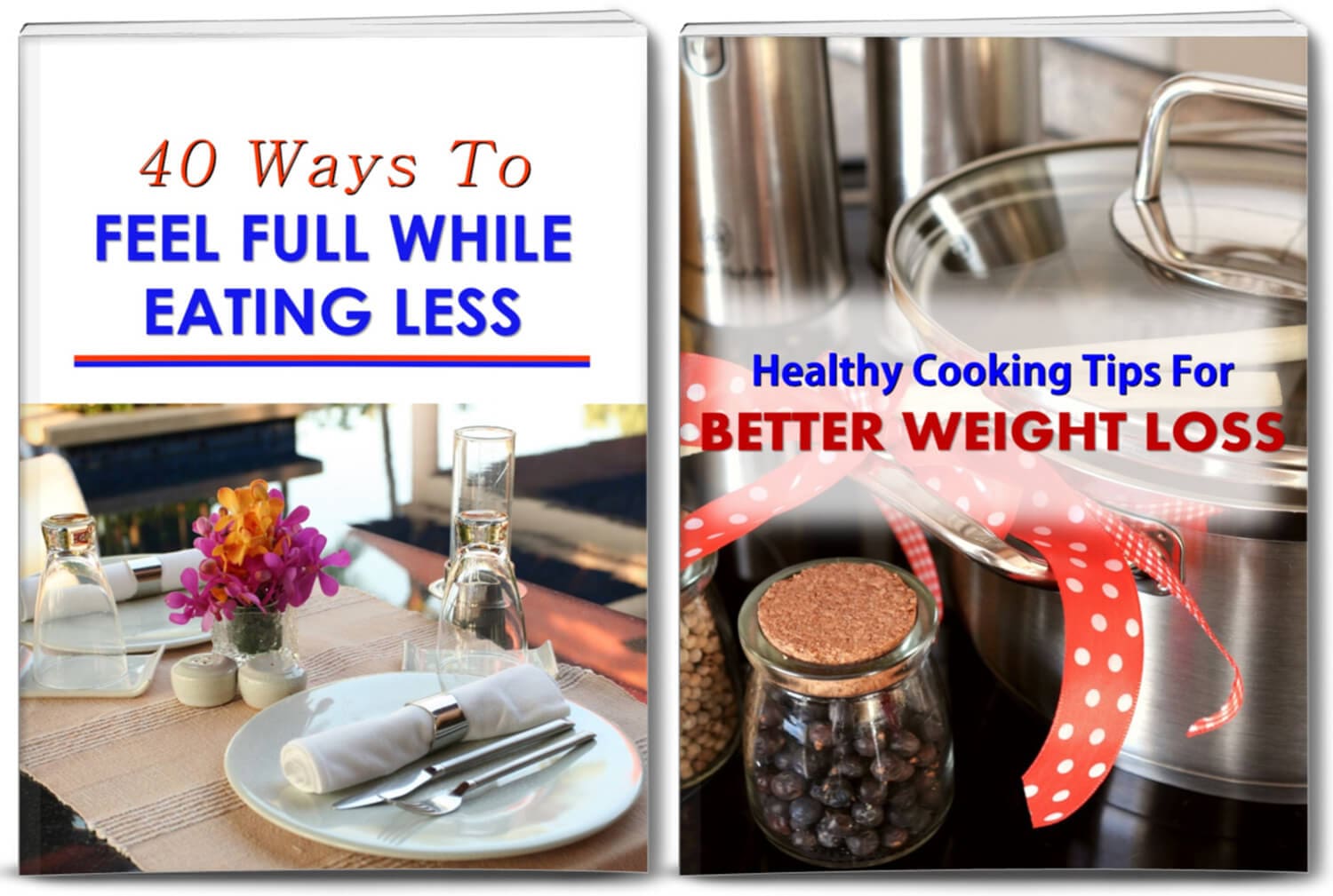 weight loss plr