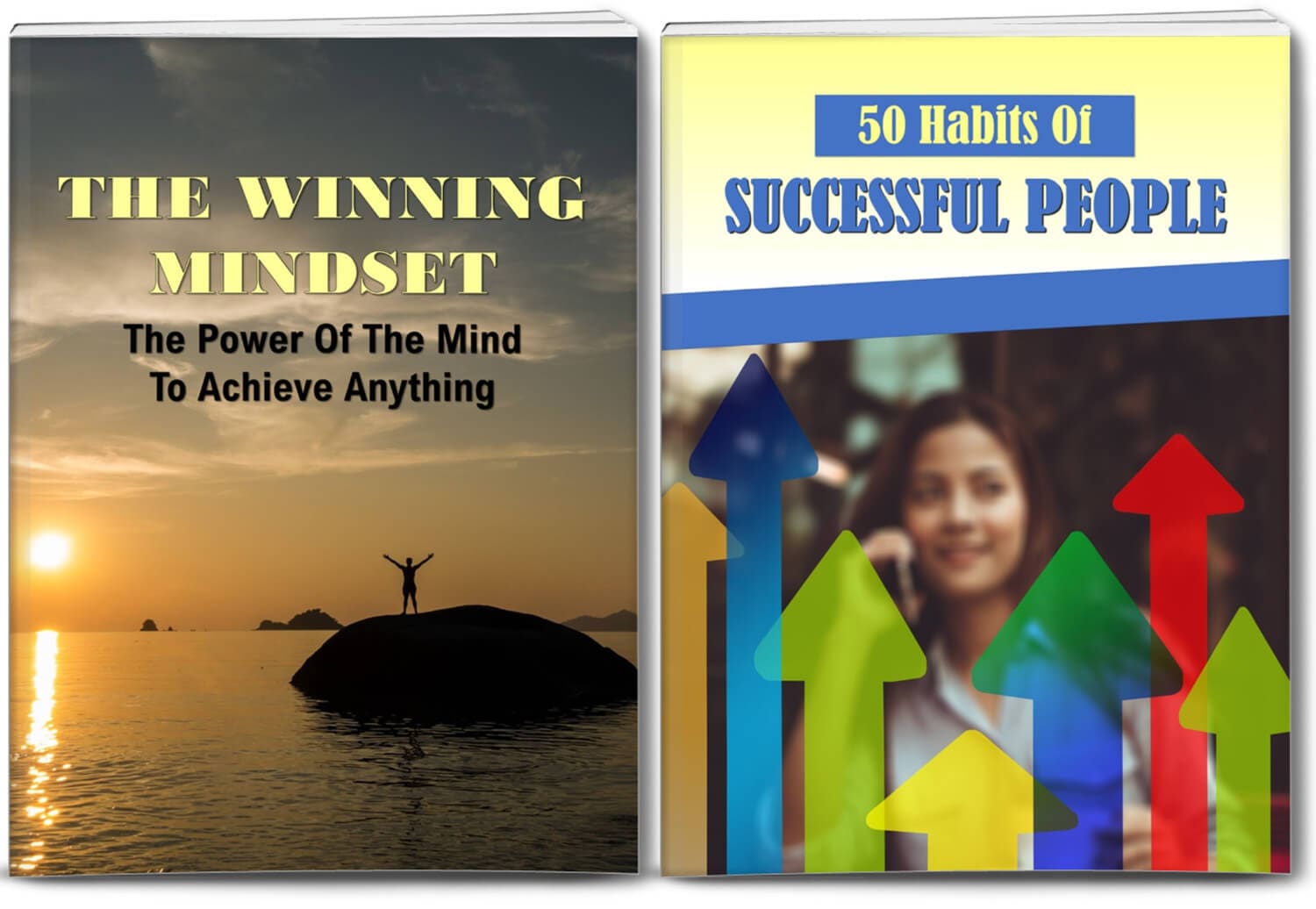 success plr