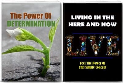 determination - living in moment plr