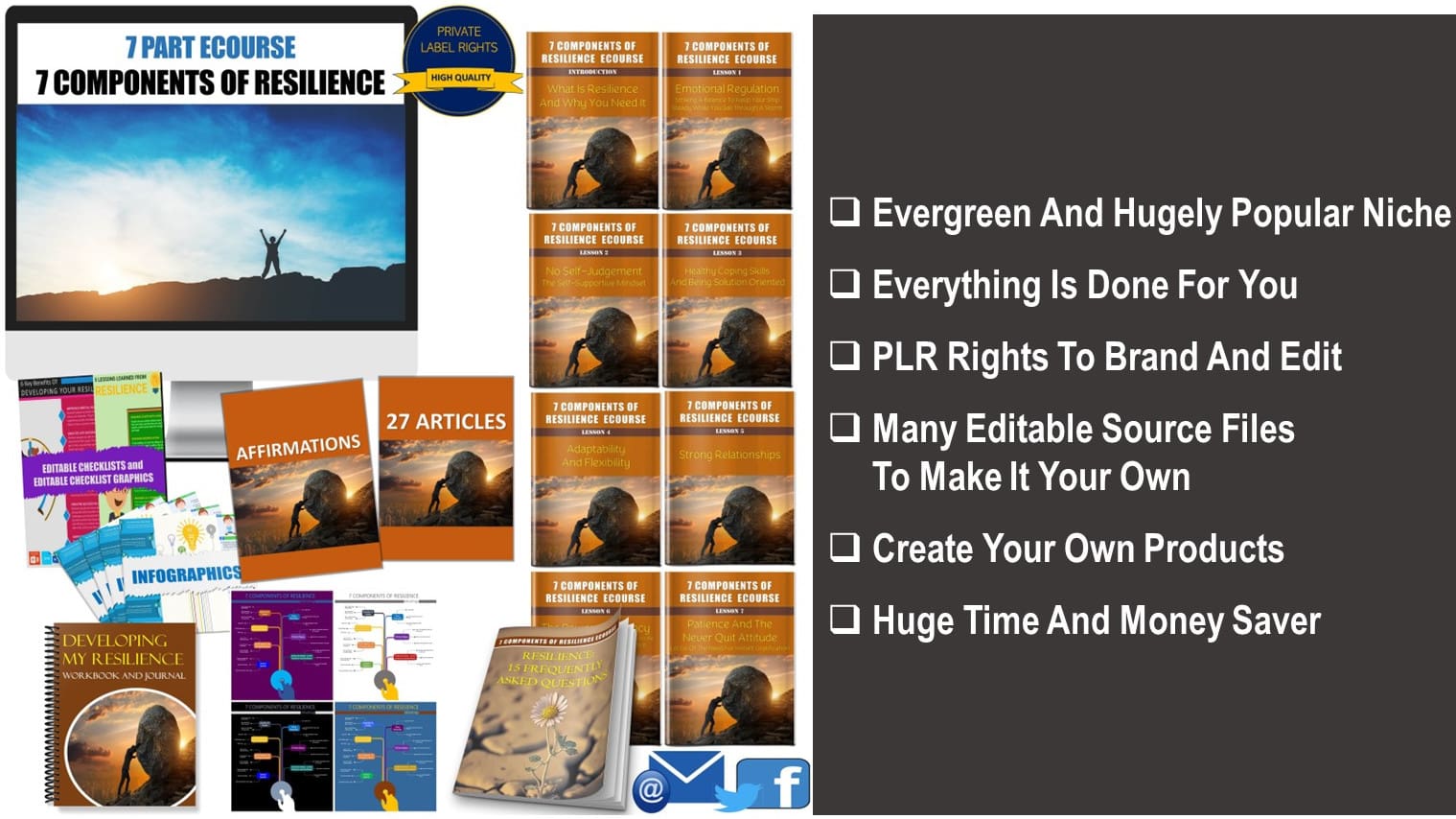 7 Part eCourse: 7 Components Of Resilience Giant PLR 